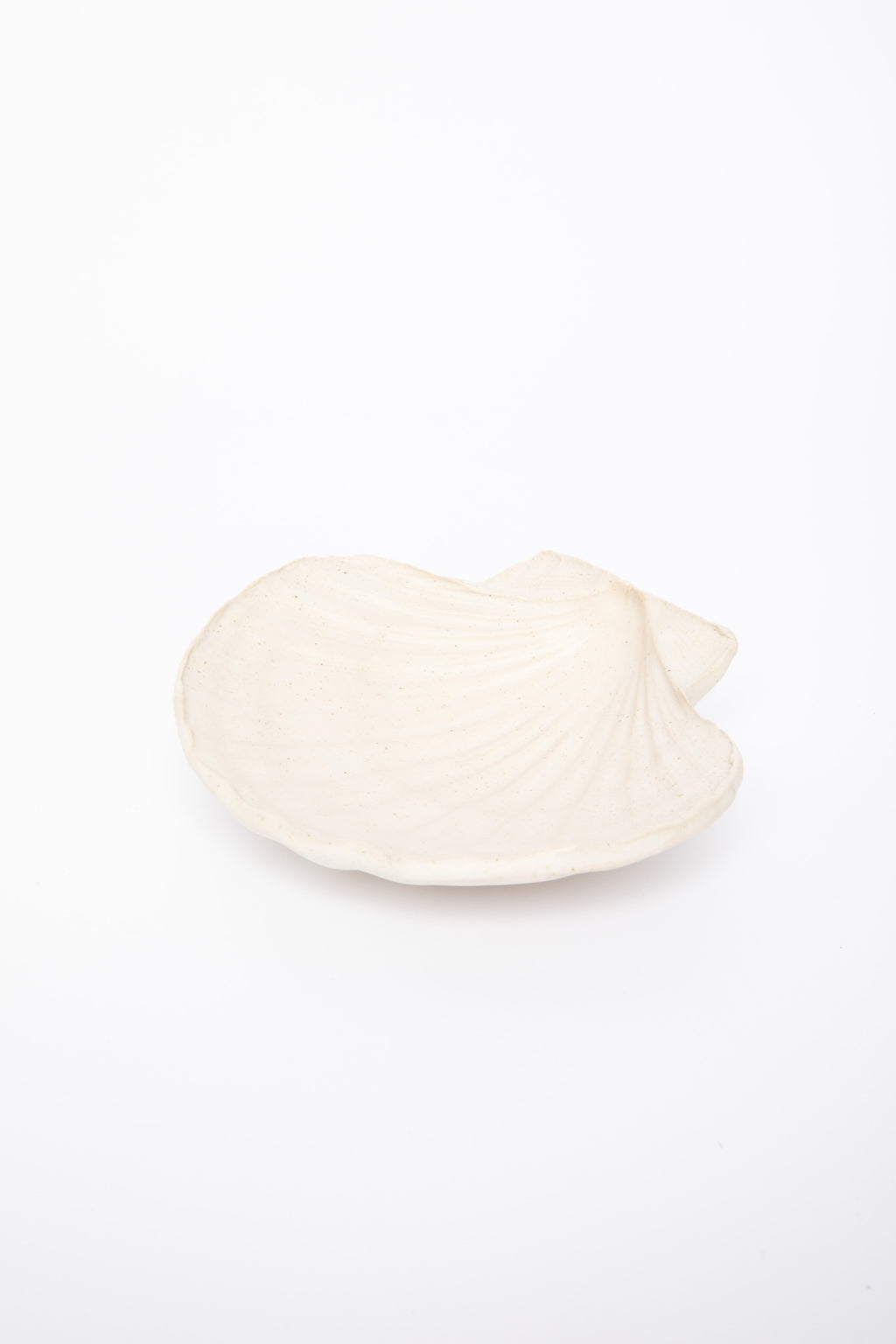 Studio Kefi - Shell jewlery holder