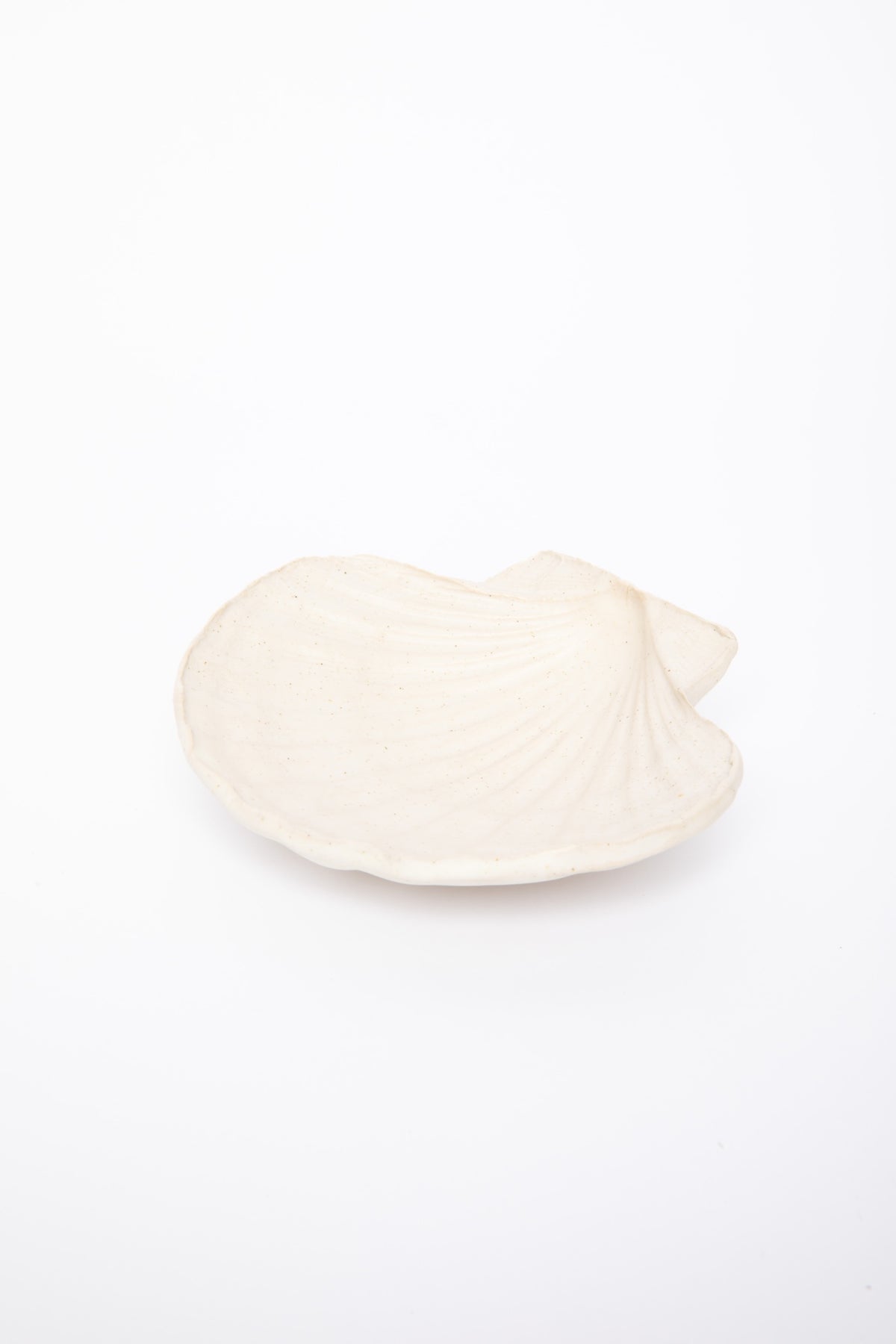 Studio Kefi - Shell jewlery holder